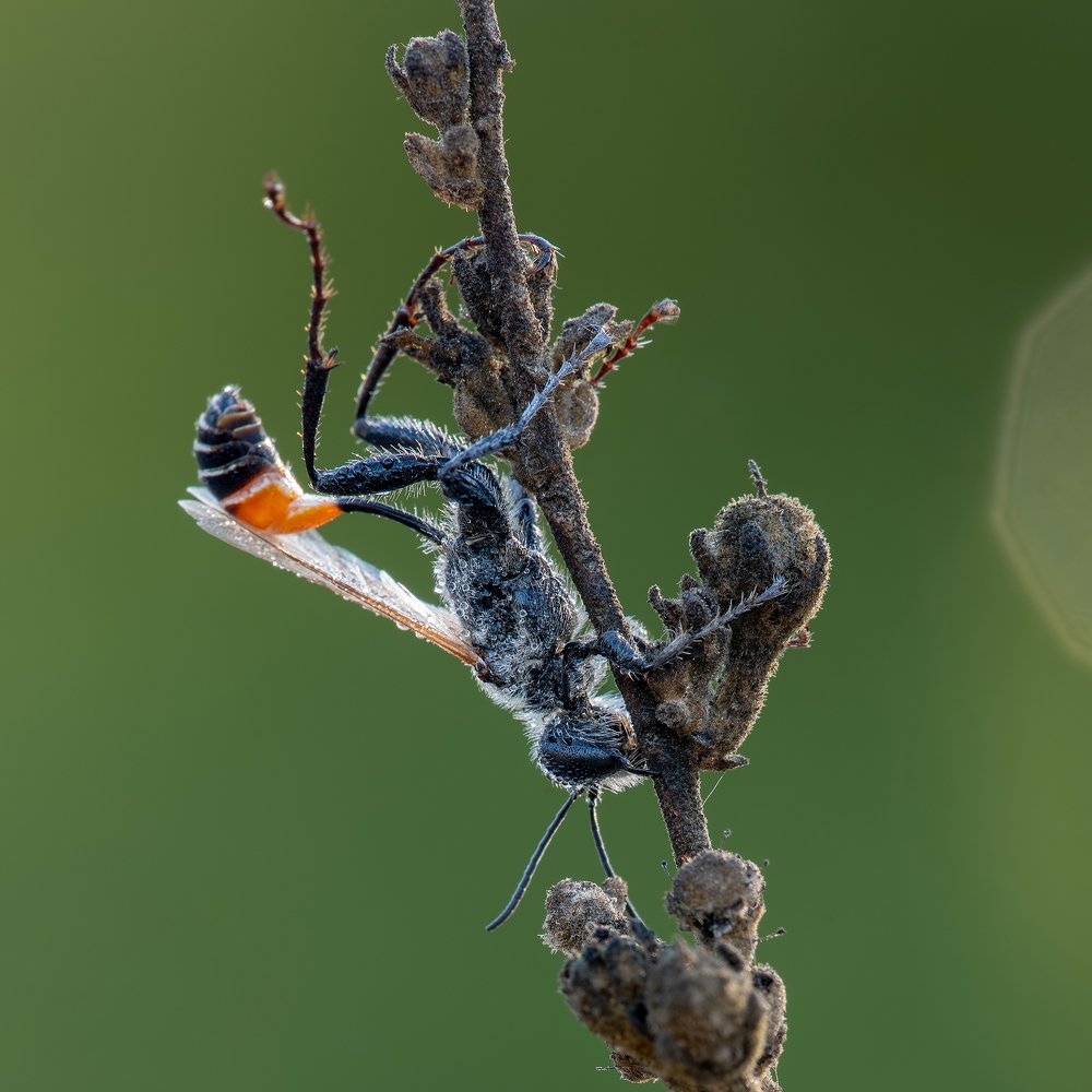 Photograph by Игорь ФУММ