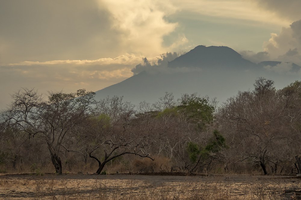 Photograph by Lugyanti Sukrisman