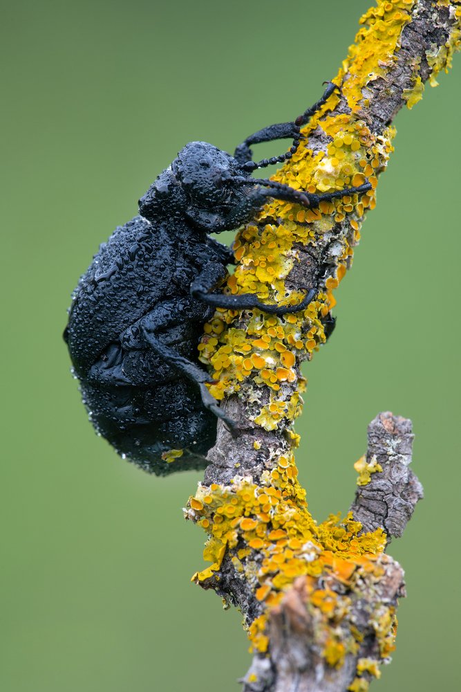 Photograph by Игорь ФУММ