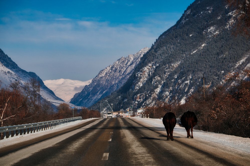 Photograph by Светлана Воскресенская
