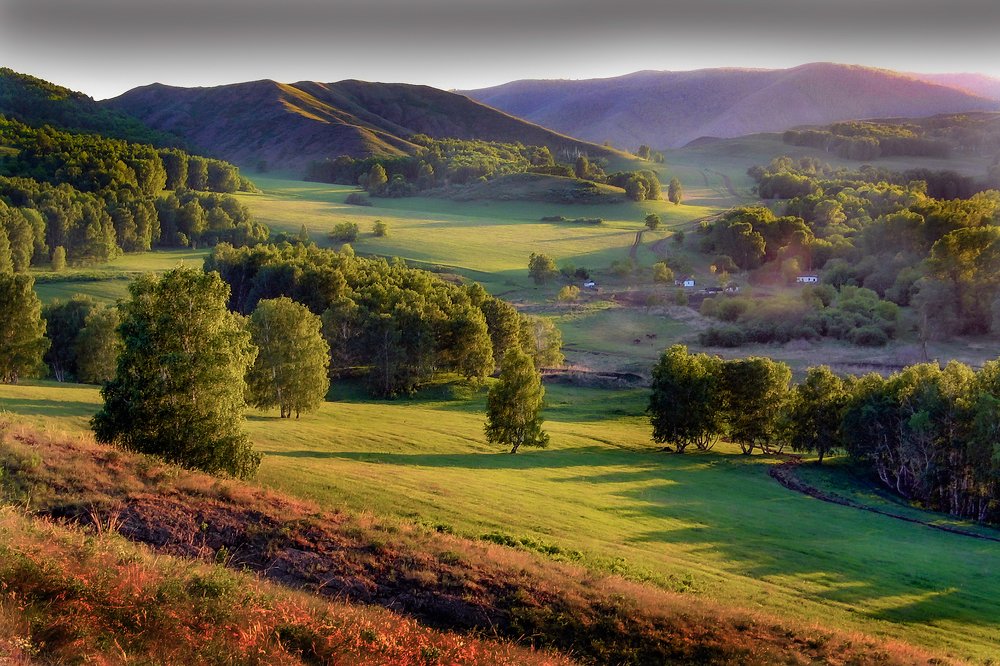 Photograph by петр чиков