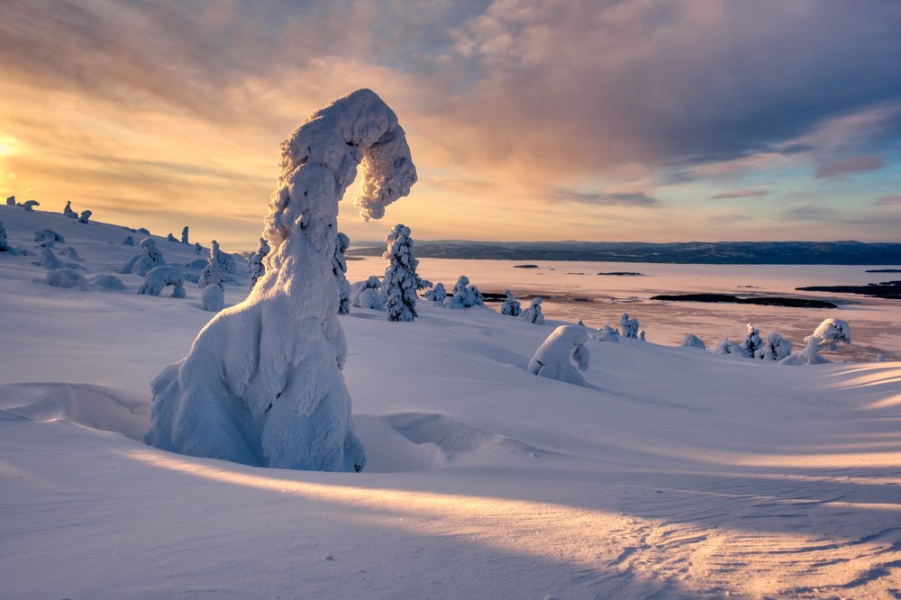 Парк ледникового периода...