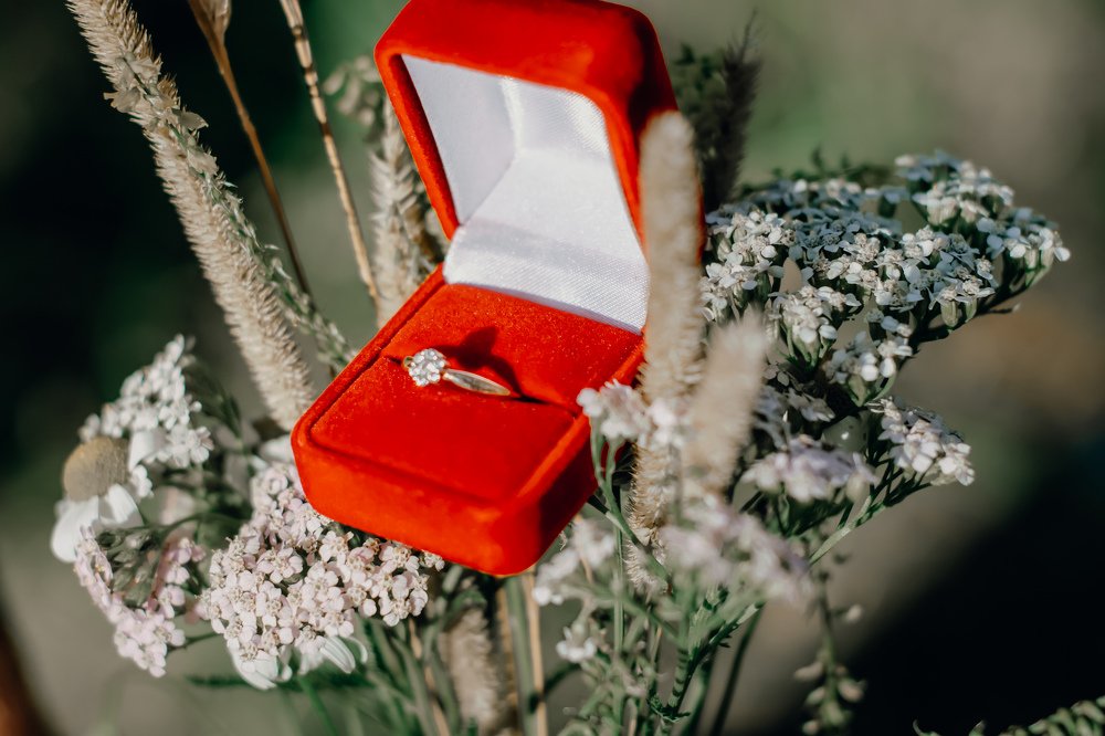 Предложение