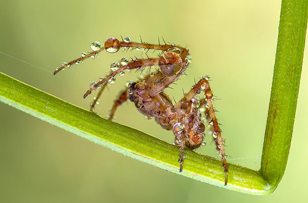 Фотография автора Andrey Pristyazhnyuk