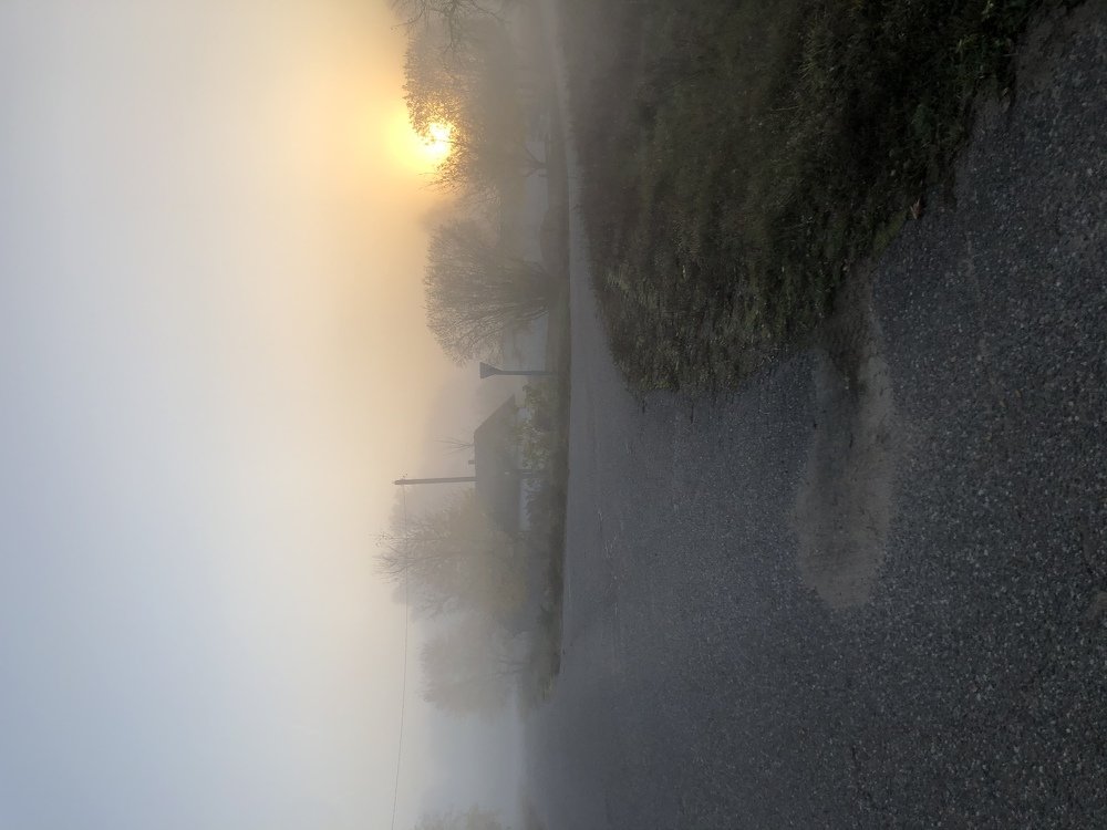 Утро в деревне