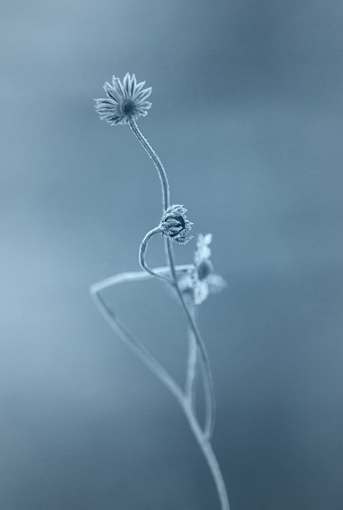 Фотография автора Andrey Pristyazhnyuk