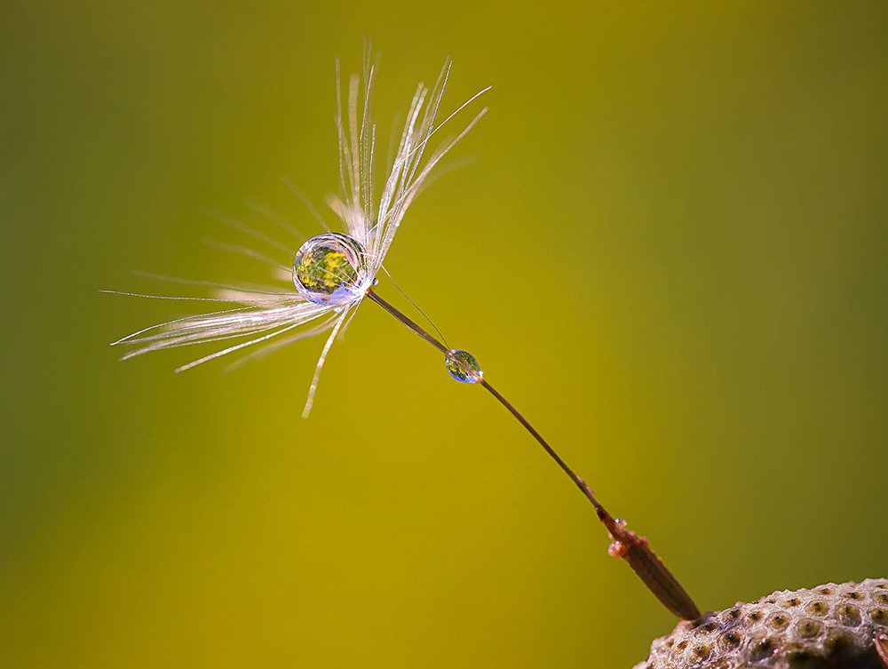 Фотография автора Andrey Pristyazhnyuk