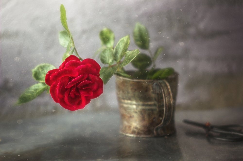 Photograph by Svoboda Andreeva