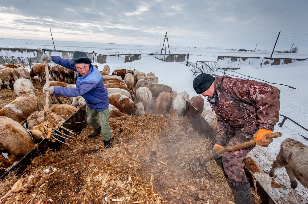 Photograph by Юрий Стекачёв