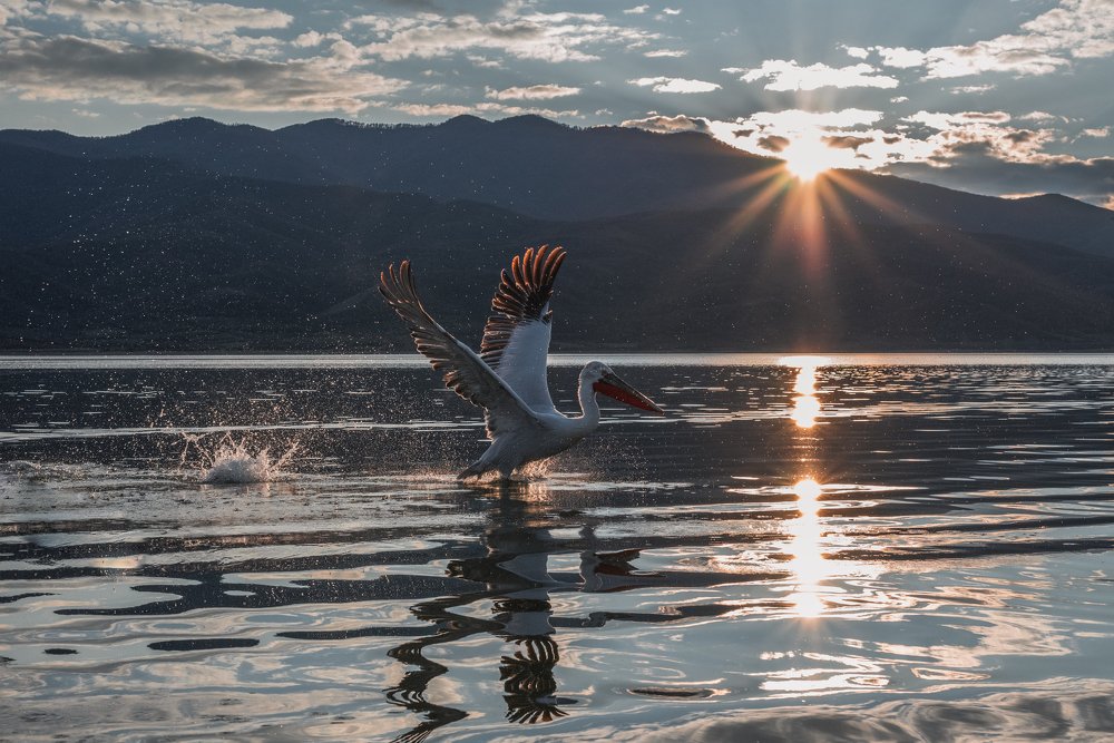 Photograph by  Spyros Ktenas