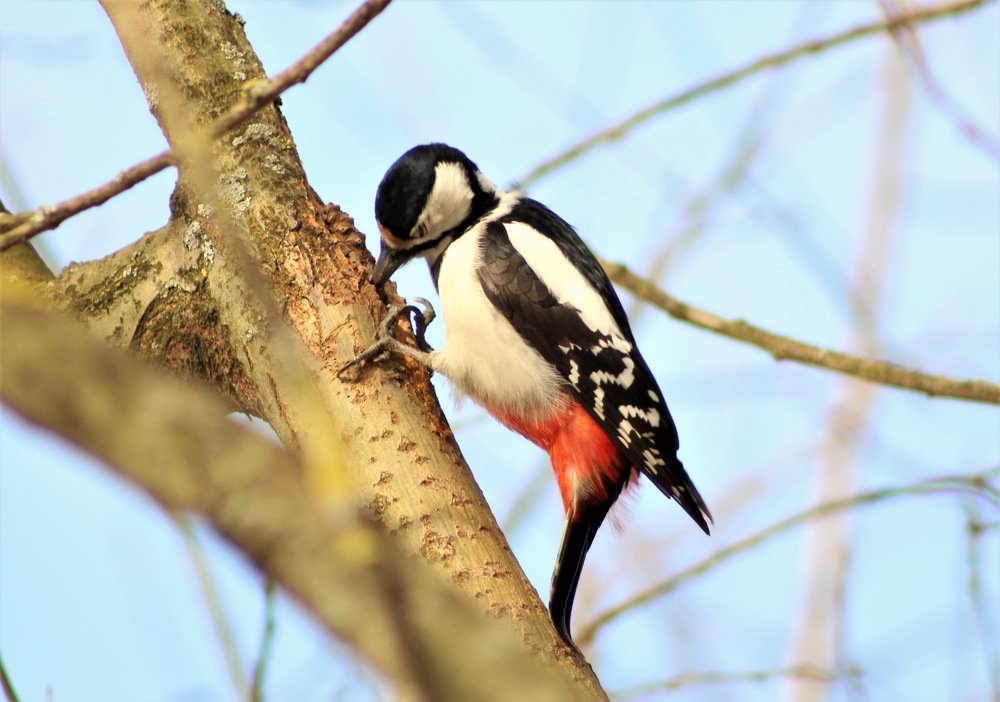 Photograph by Анастасия Рысь