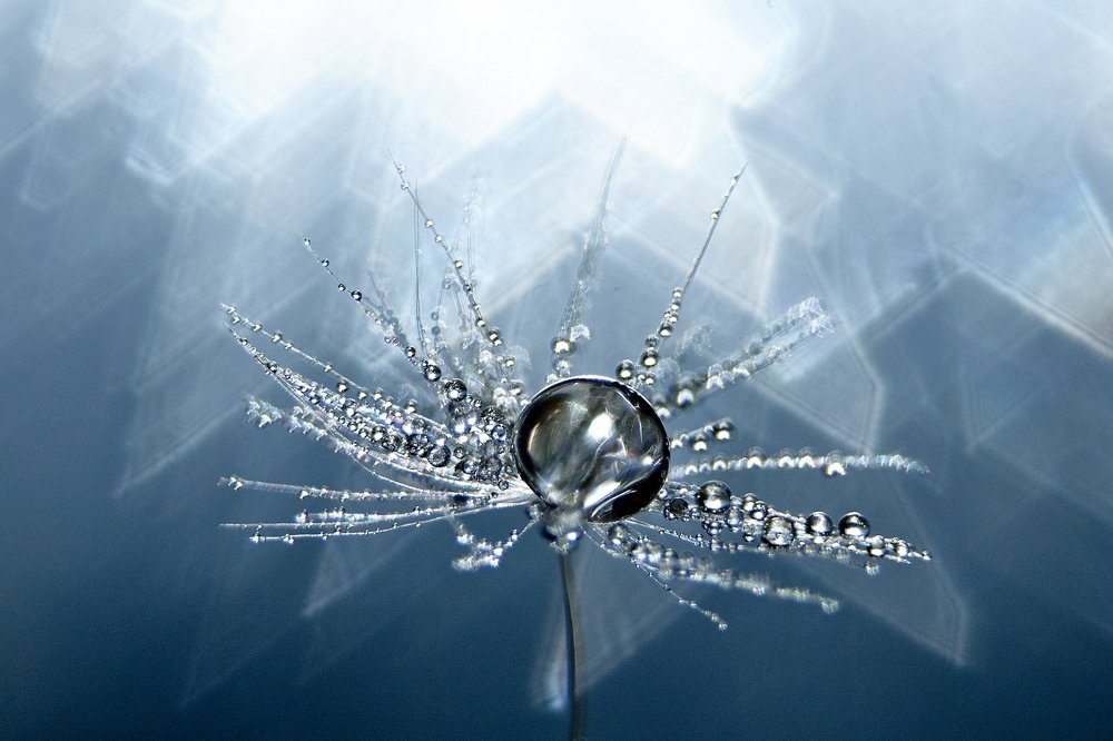 Photograph by Юлия Хаванова