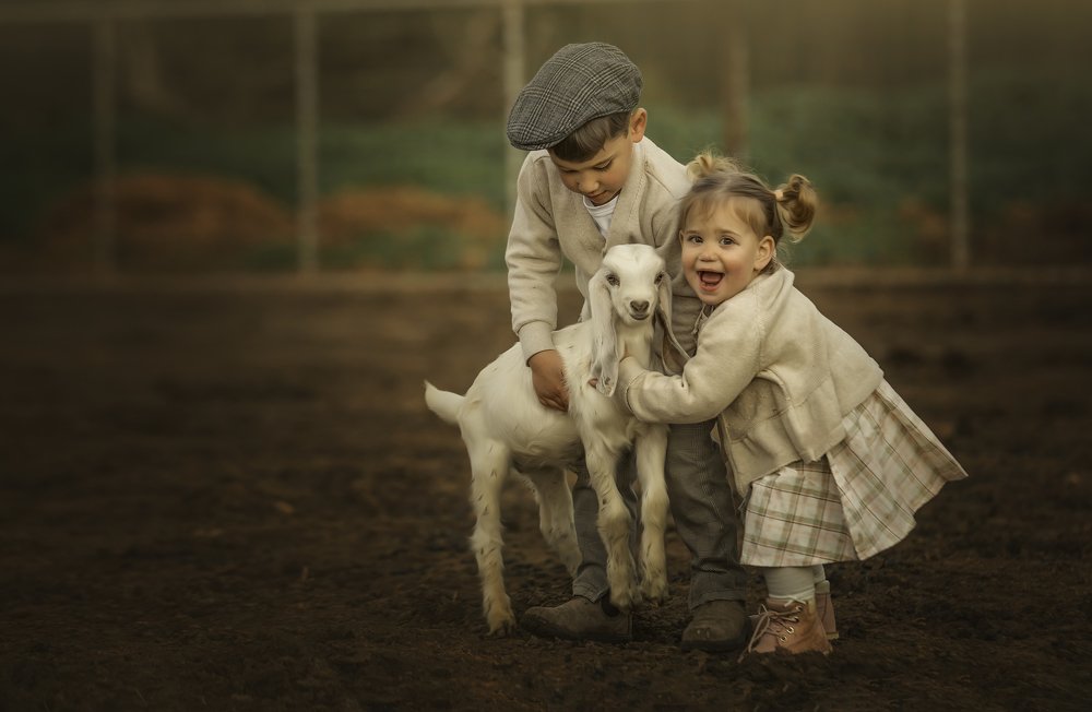 Photograph by yarden kaplan