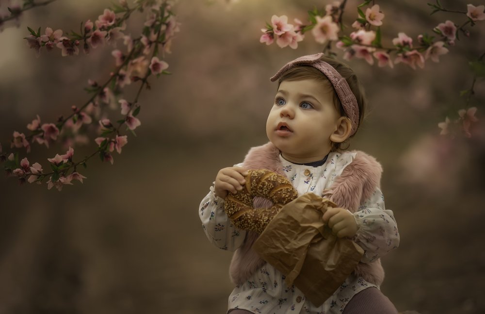 Photograph by yarden kaplan