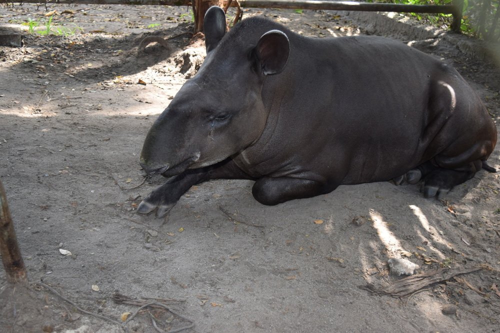 Photograph by Anuja Singh