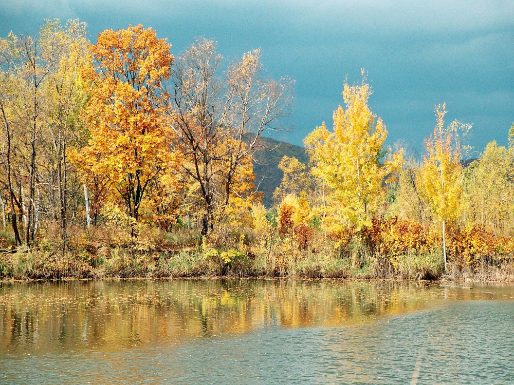 Золотая Осень.