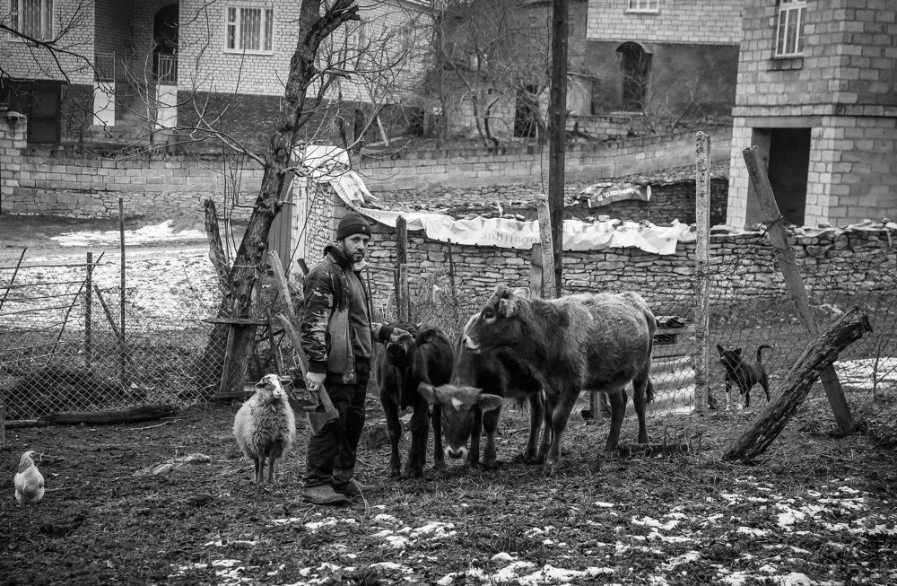 Хозяйство..