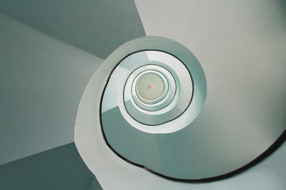 Фотография автора OSMIR ZANETTE