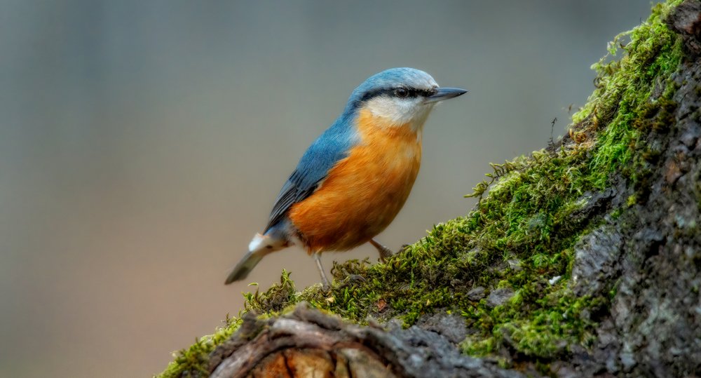 Photograph by Alexander Plekhanov