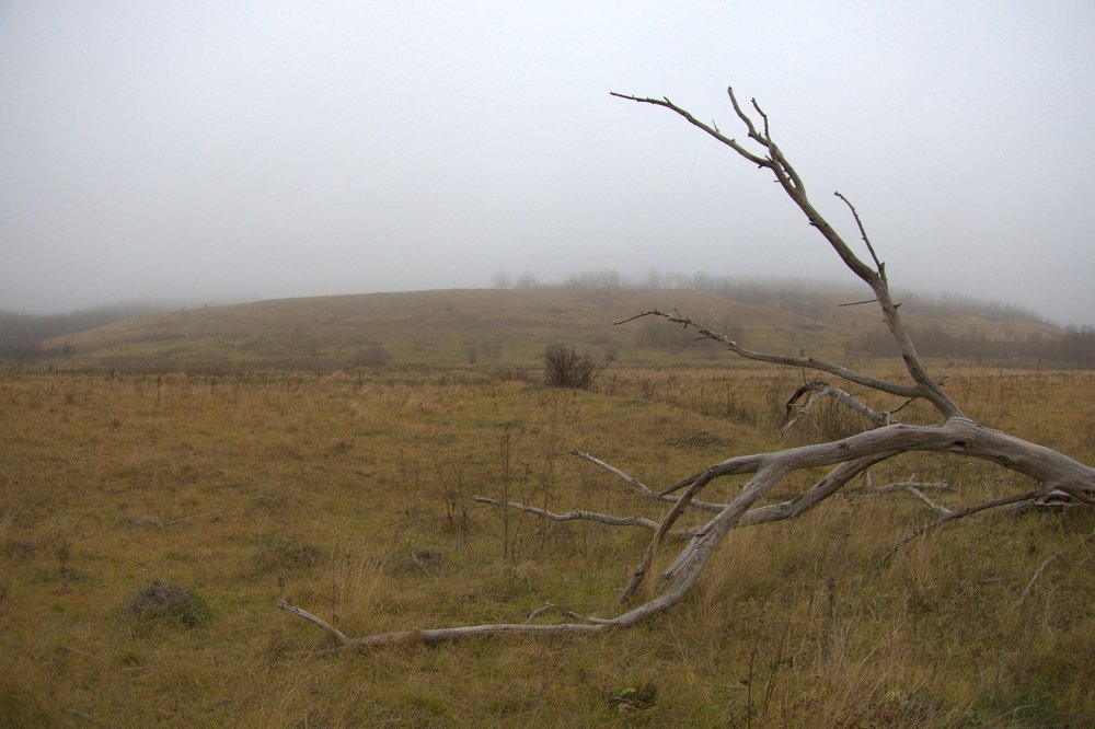 Photograph by Александр Бычков