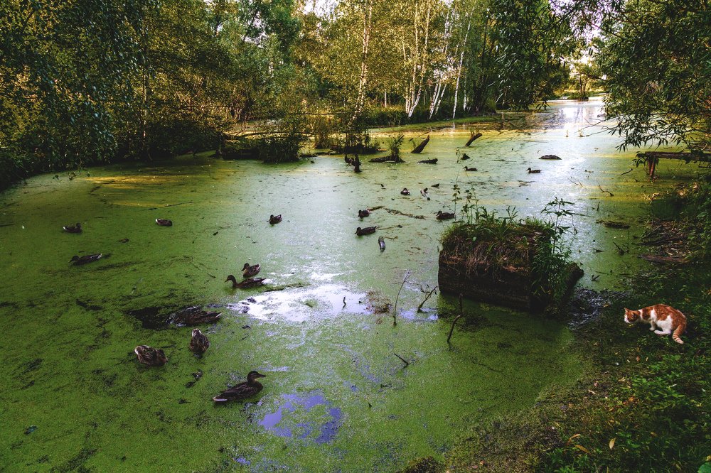 Photograph by Евгений Соколов