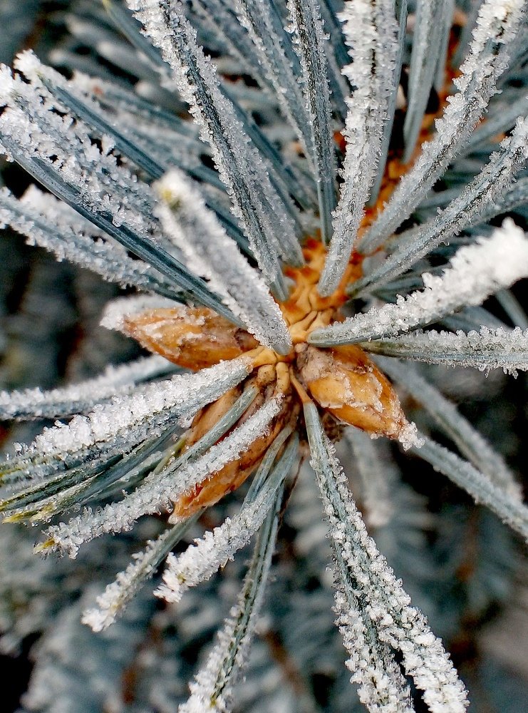 Photograph by Федоренко Элеонора