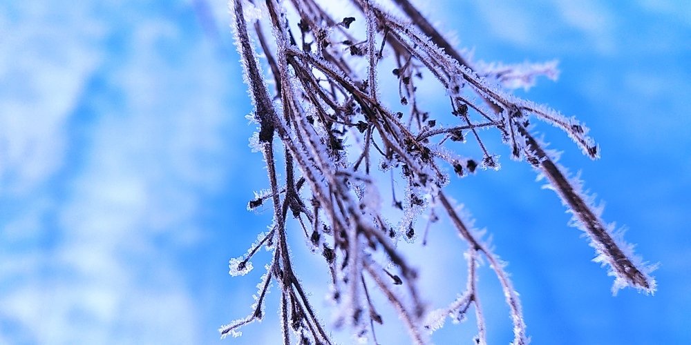 Photograph by Ирина Саттарова