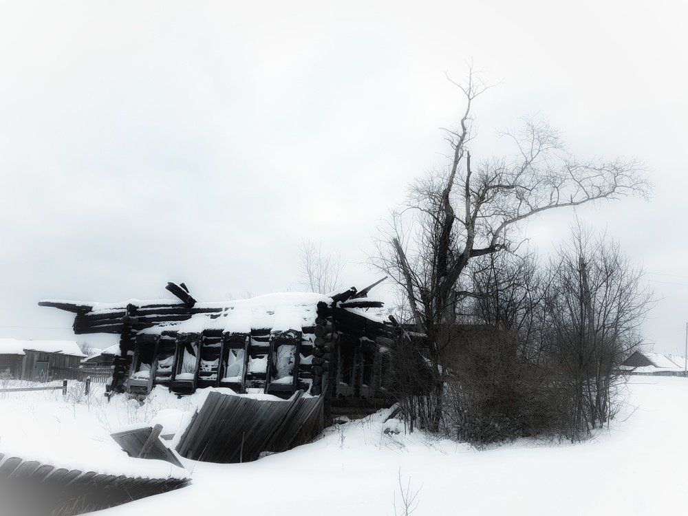 Photograph by Анастасия Петухова