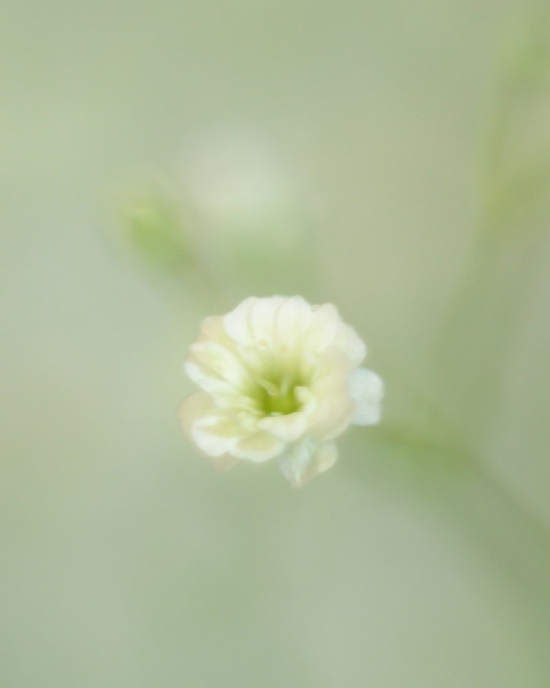 Photograph by Agnieszka