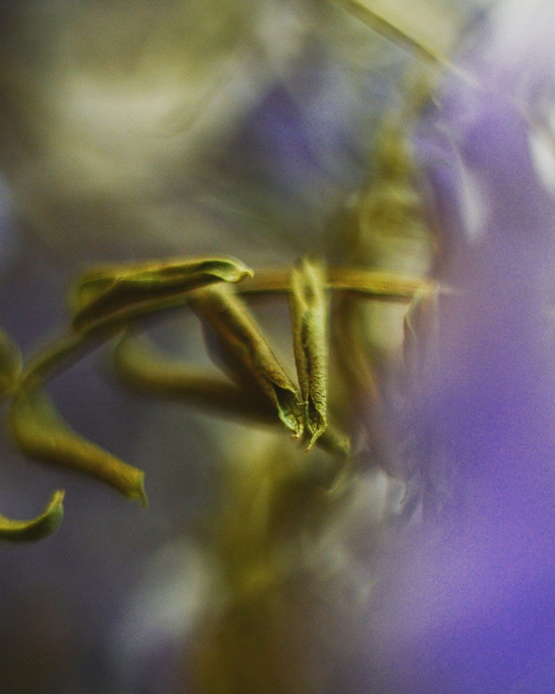 Photograph by Agnieszka