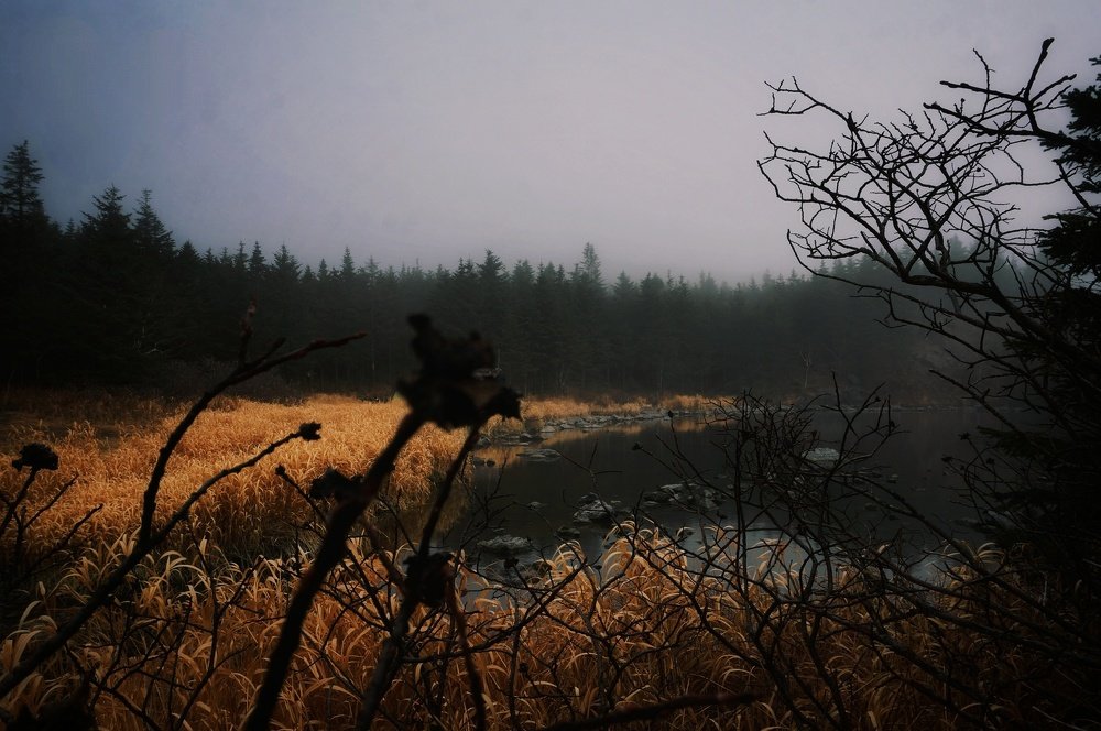 Photo #4436451