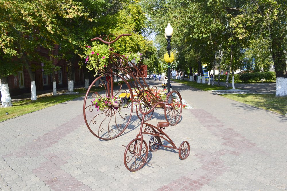 Photograph by Алёна Фефелова