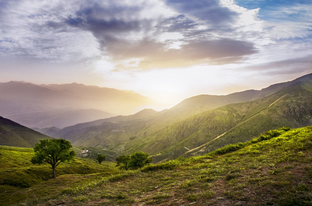 Photograph by Ehsan Yousefi