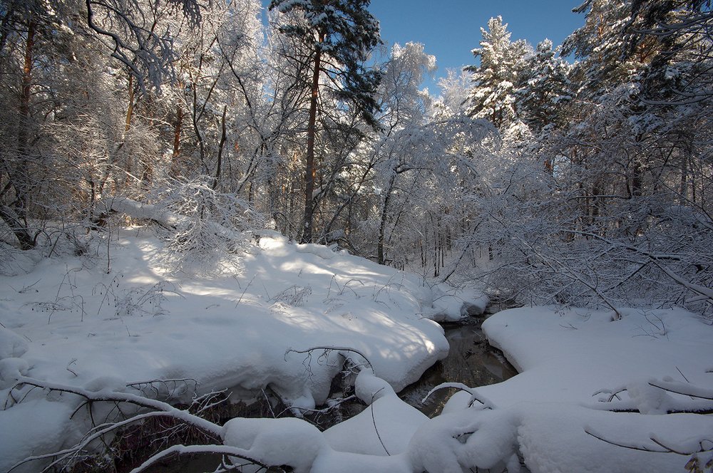 Photograph by Валерий Чичкин