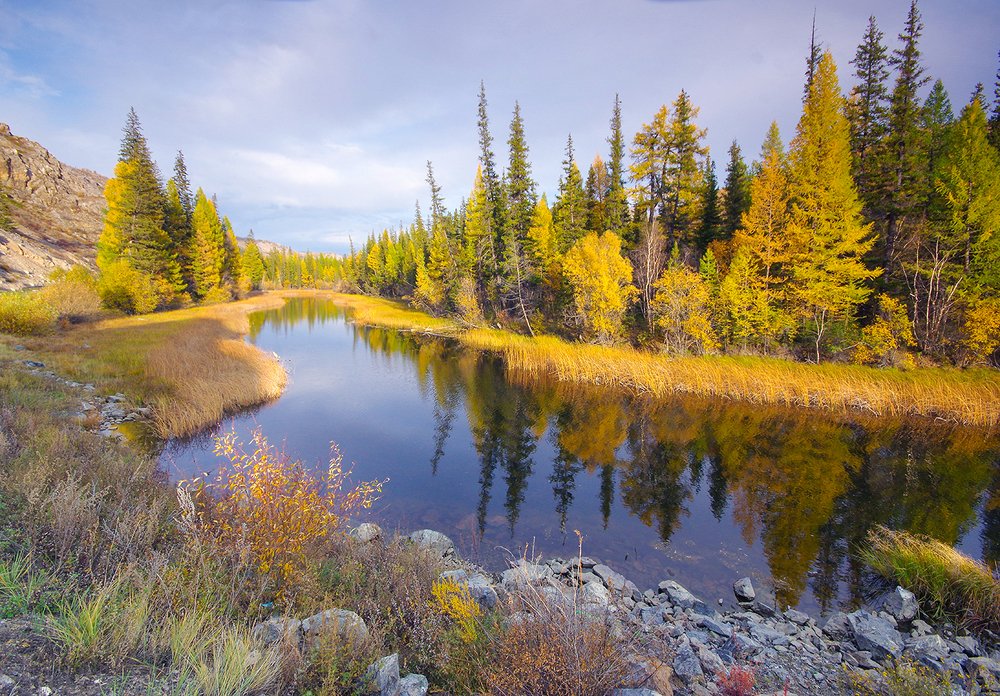 Photograph by Валерий Чичкин