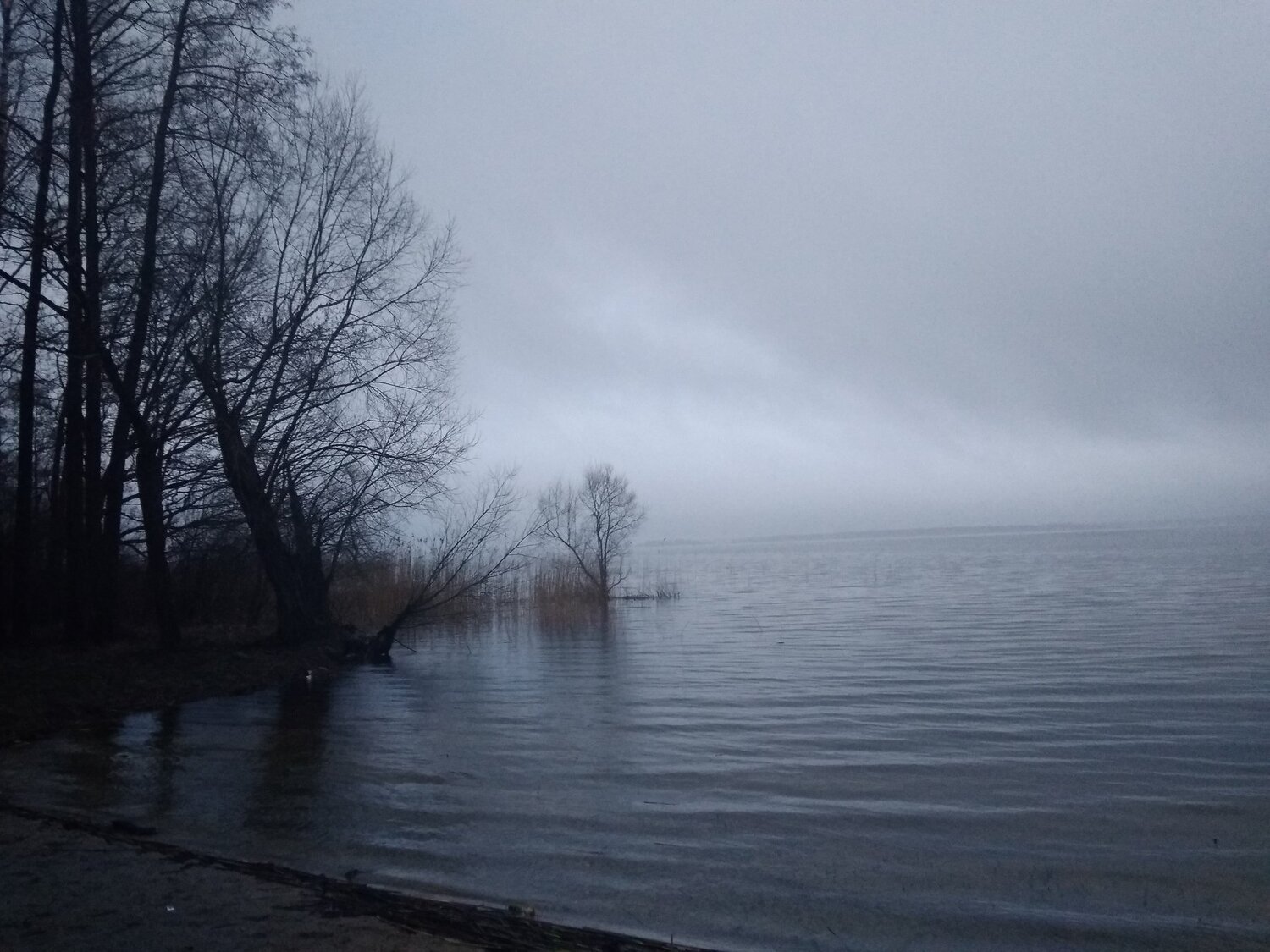Photo #4436558