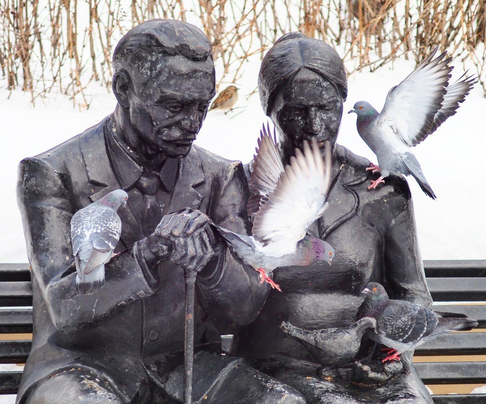 Photograph by Дмитрий Лавриненко