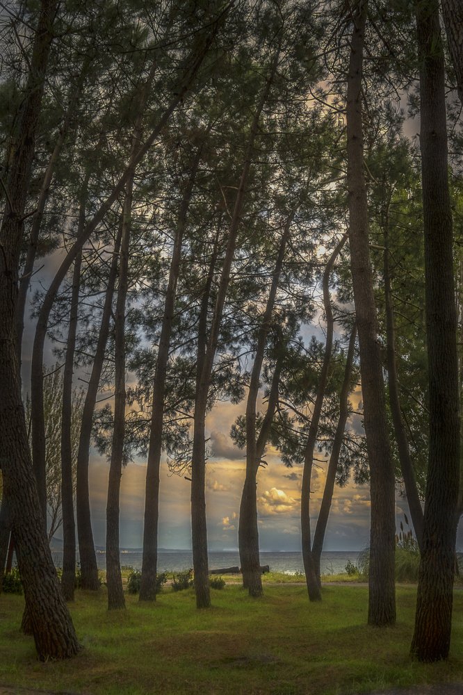 Осенний вечер в Гаграх......