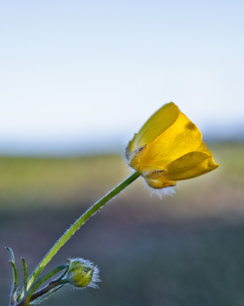 Photograph by Дмитрий Дигилин