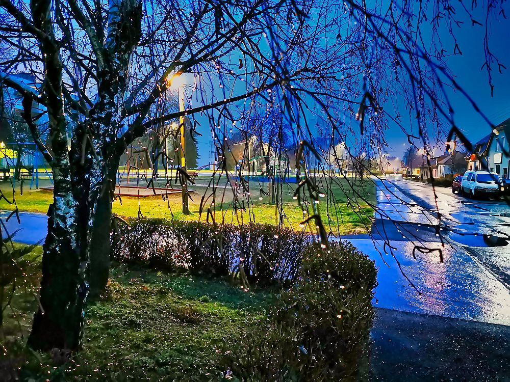 Photograph by Sandor Zoltan Gal