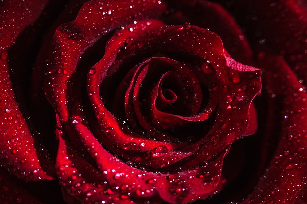 Photograph by Екатерина Просвирнина