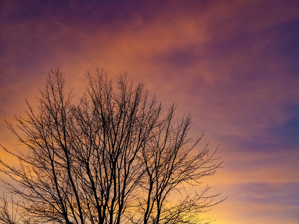 Photograph by Дмитрий Дигилин