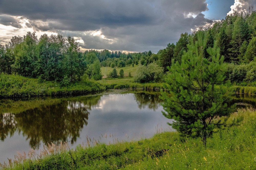 Родные края