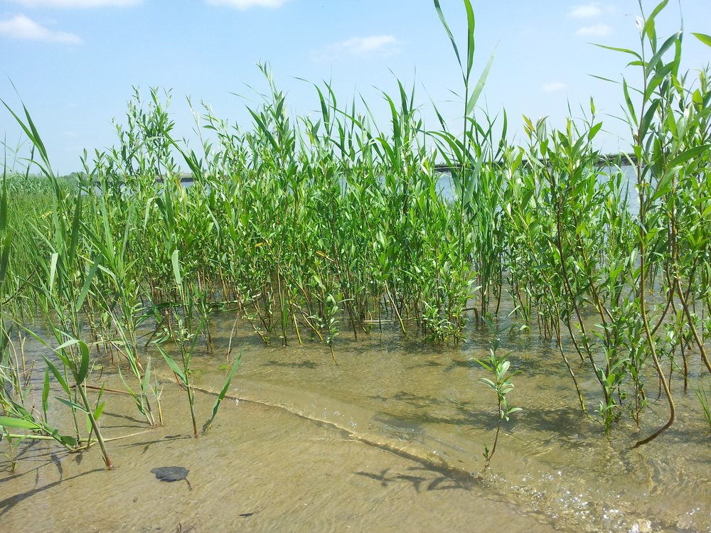 Photograph by ИГОРЬ