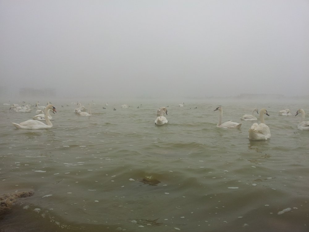 Photograph by ИГОРЬ