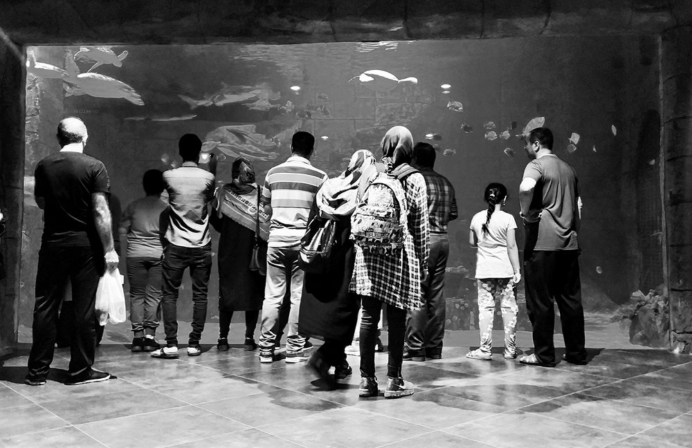 Photograph by Keyvan Hosine pour