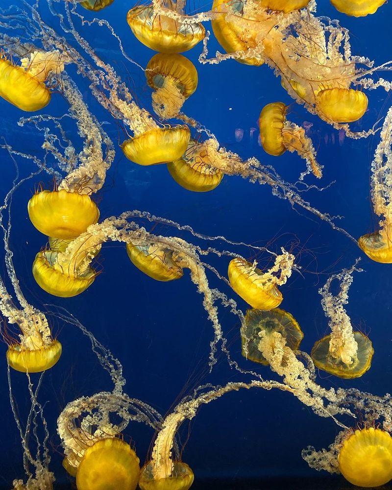 Photograph by Nikolay Gorbatenko