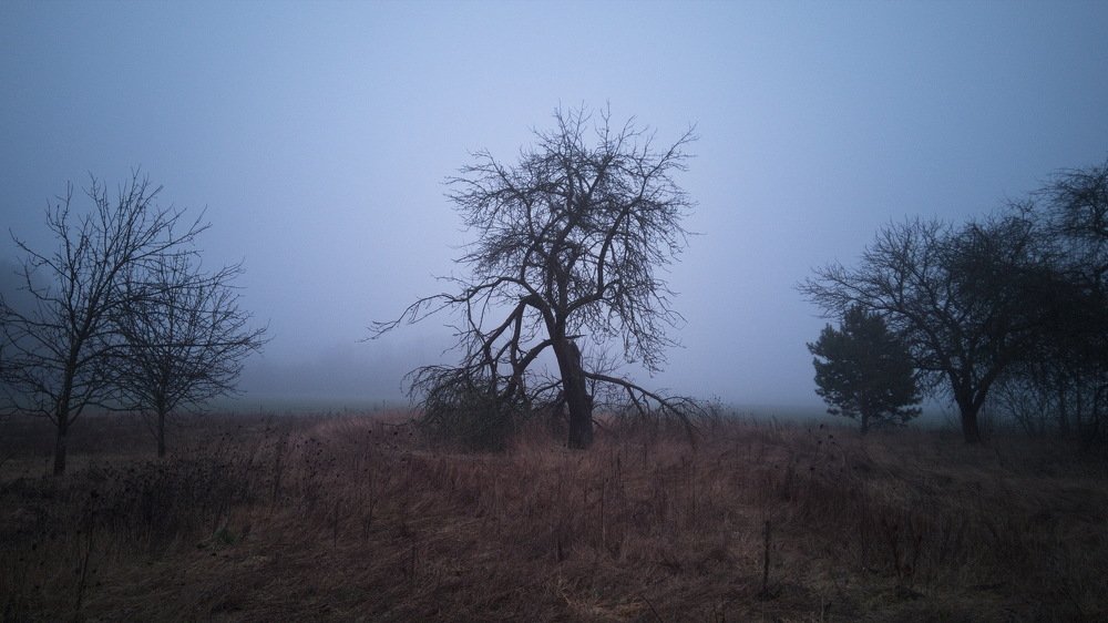 Photograph by Алексей Крукович