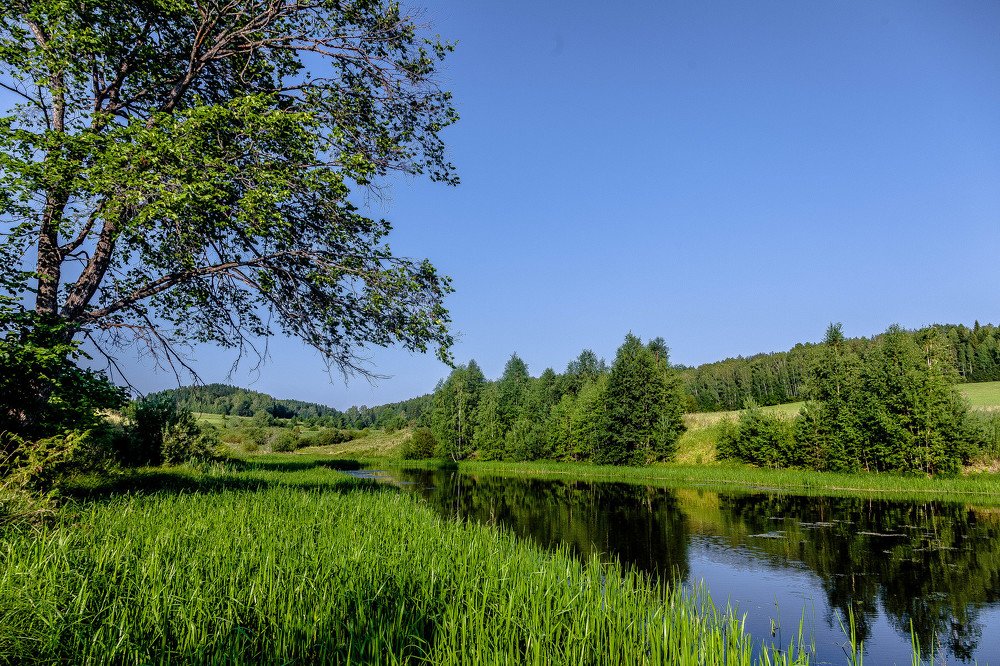 Photograph by Андрей Колесов