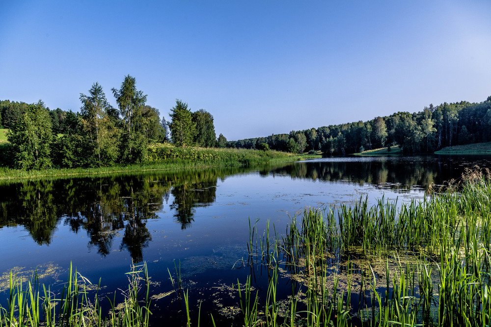 Photograph by Андрей Колесов